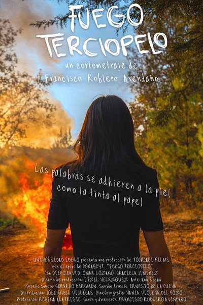 Póster de Velvet Fire