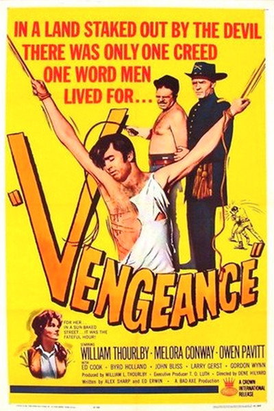 Póster de Venganza