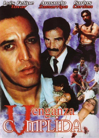 Póster de Venganza cumplida