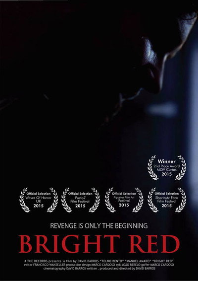 Póster de Venganza Fragmentada