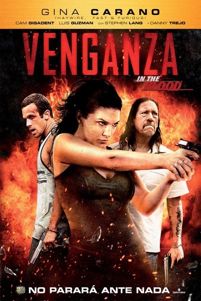 Póster de Venganza (In the Blood)