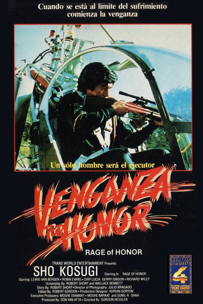 Póster de Venganza por honor