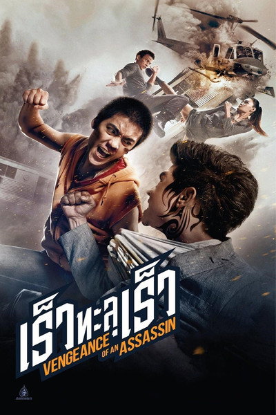 Póster de Vengeance of an Assassin