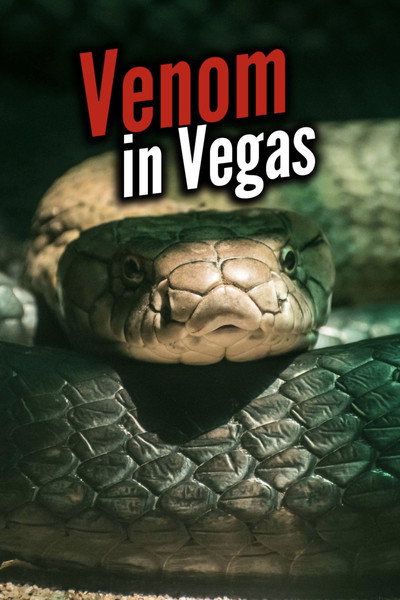 Póster de Venom in Vegas