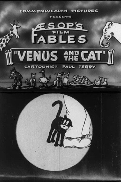 Póster de Venus and the Cat