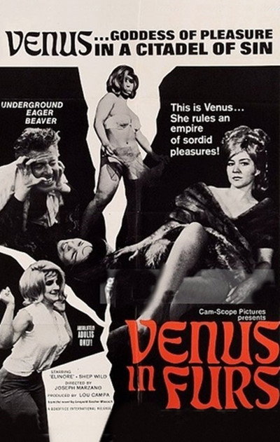 Póster de Venus in Furs
