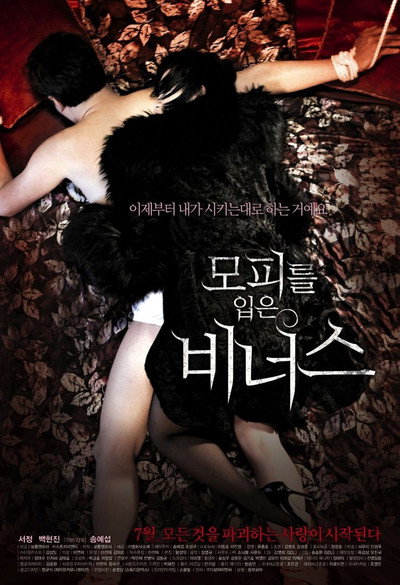 Póster de Venus in Furs