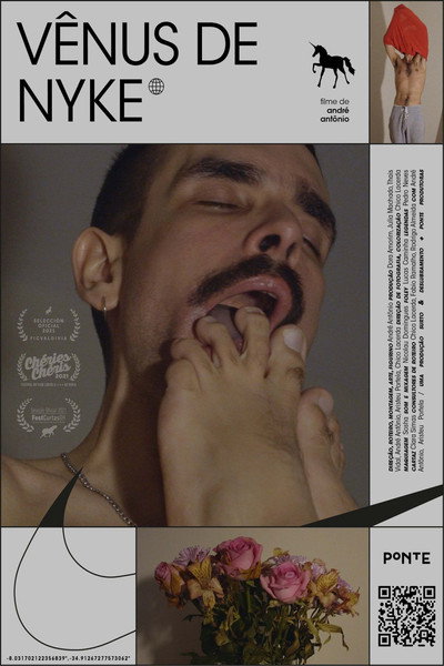 Póster de Venus in Nykes