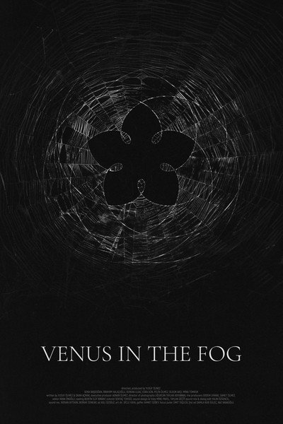 Póster de Venus in the Fog