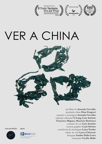 Póster de Ver a China