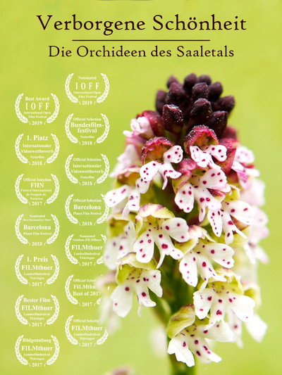 Póster de Verborgene Schönheit: Die Orchideen des Saaletals