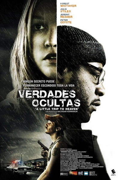 Póster de Verdades ocultas
