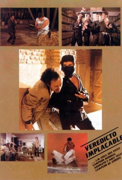 Póster de Veredicto implacable