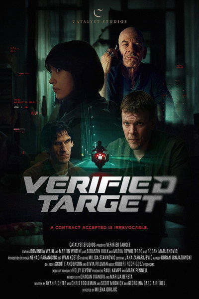 Póster de Verified Target