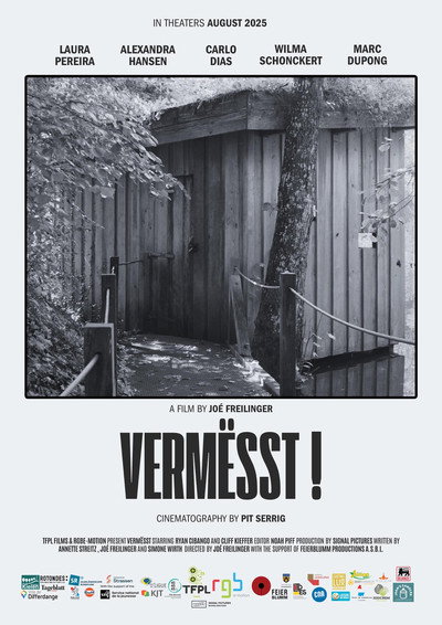 Póster de Vermësst!