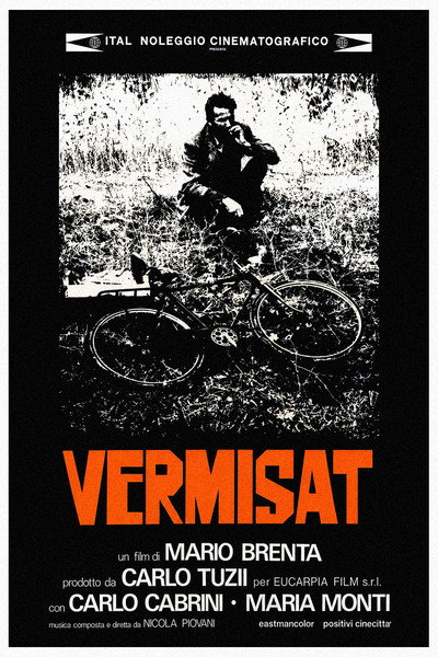 Póster de Vermisat