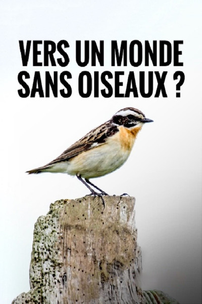Póster de Vermisst - Wo sind die Vögel?