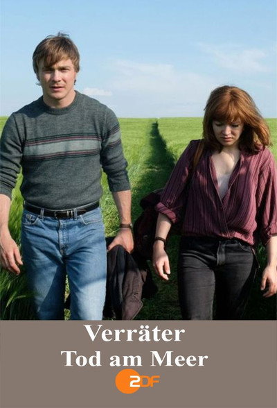 Póster de Verräter