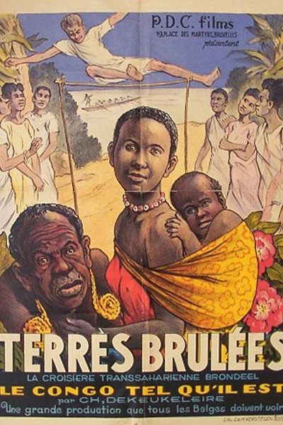 Póster de Verschroeide aarde
