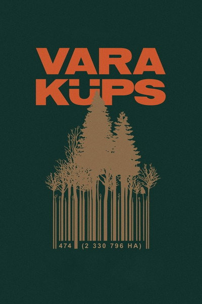 Póster de Vertical Money
