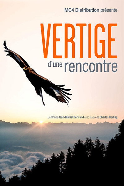 Póster de Vertige d'une rencontre