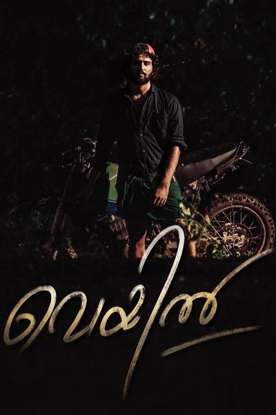 Póster de Veyil