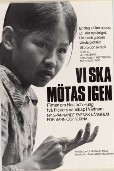 Póster de Vi ska mötas igen