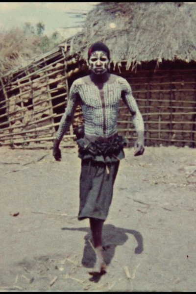 Póster de Viagem aos Makonde