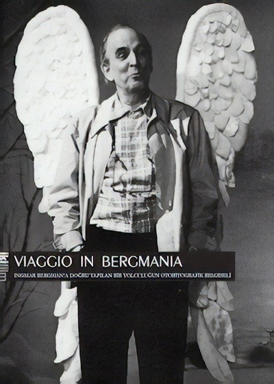 Póster de Viaggio in Bergmania