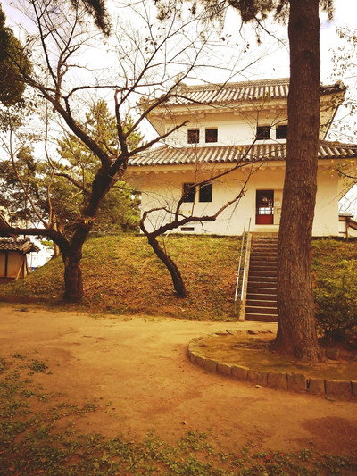Póster de Viaje al Castillo de Tsuchiura