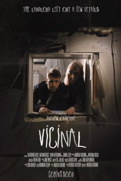 Póster de Vicinal