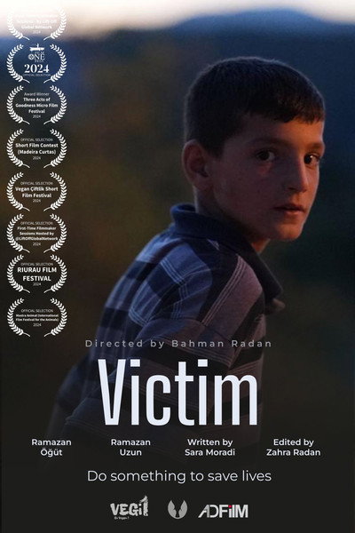 Póster de Victim