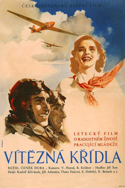 Póster de Victorious Wings