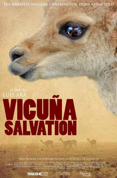 Póster de Vicuna Salvation