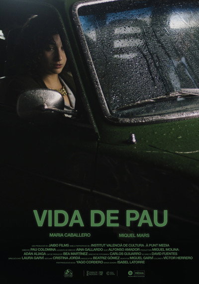 Póster de Vida de Pau