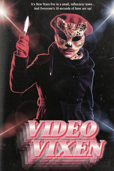 Póster de Video Vixen
