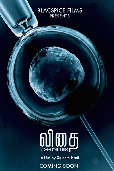 Póster de Vidhai