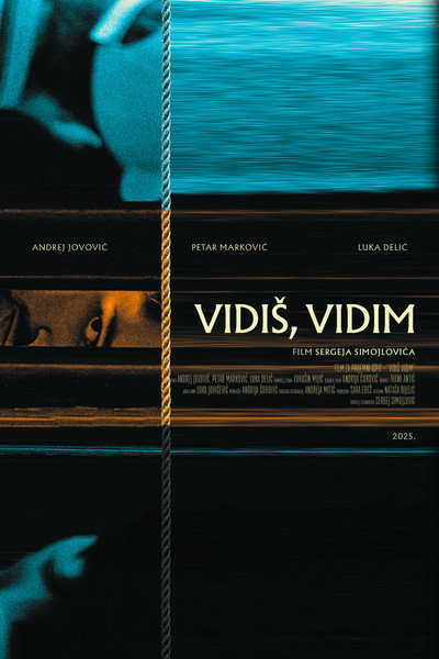 Póster de Vidis, vidim
