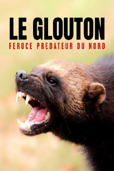 Póster de Vielfraß - Räuber des Nordens