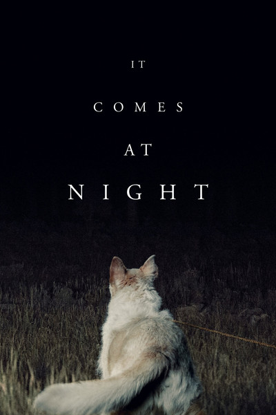 Póster de Viene de noche