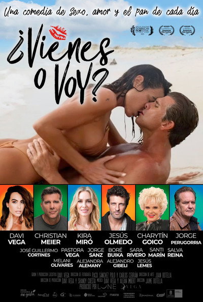 Póster de Vienes o voy