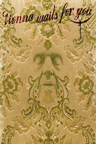 Póster de Vienna Waits for You