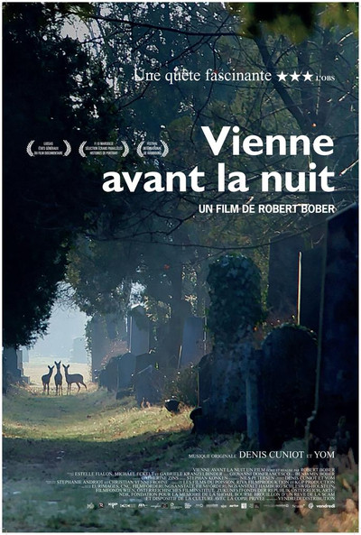 Póster de Vienne avant la nuit