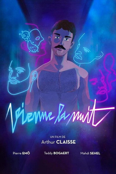 Póster de Vienne la nuit