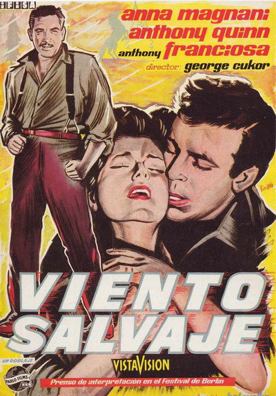 Póster de Viento salvaje