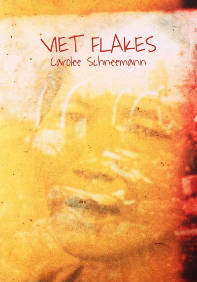 Póster de Viet Flakes