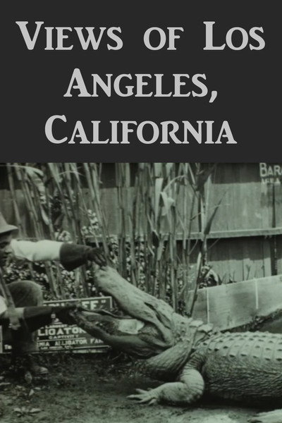 Póster de Views of Los Angeles, Cal.