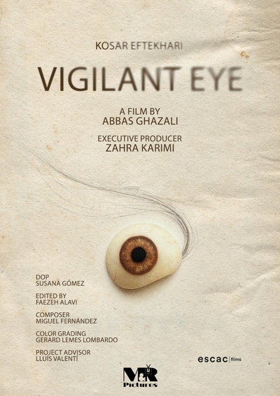Póster de Vigilant Eye