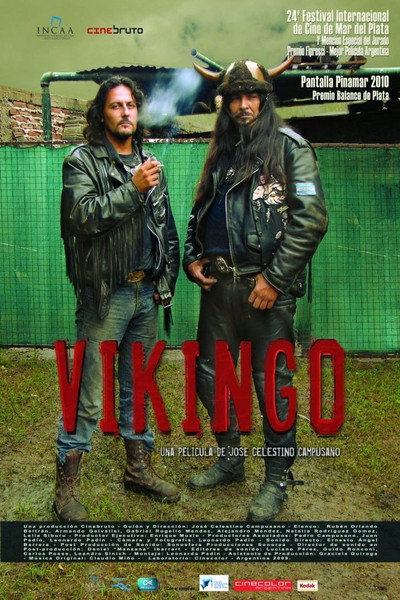 Póster de Vikingo