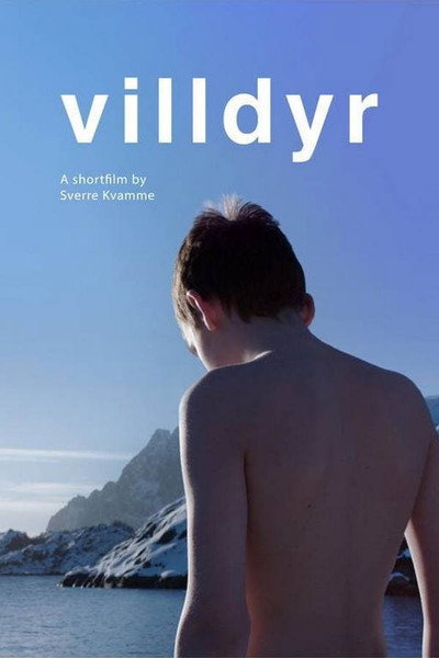 Póster de Villdyr